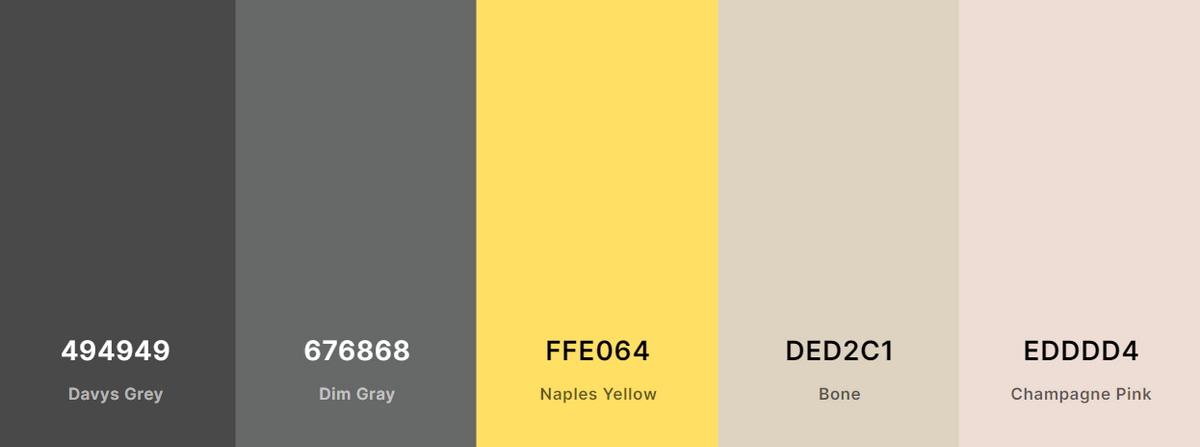 Fig 2. Color Theme: 1st iteration